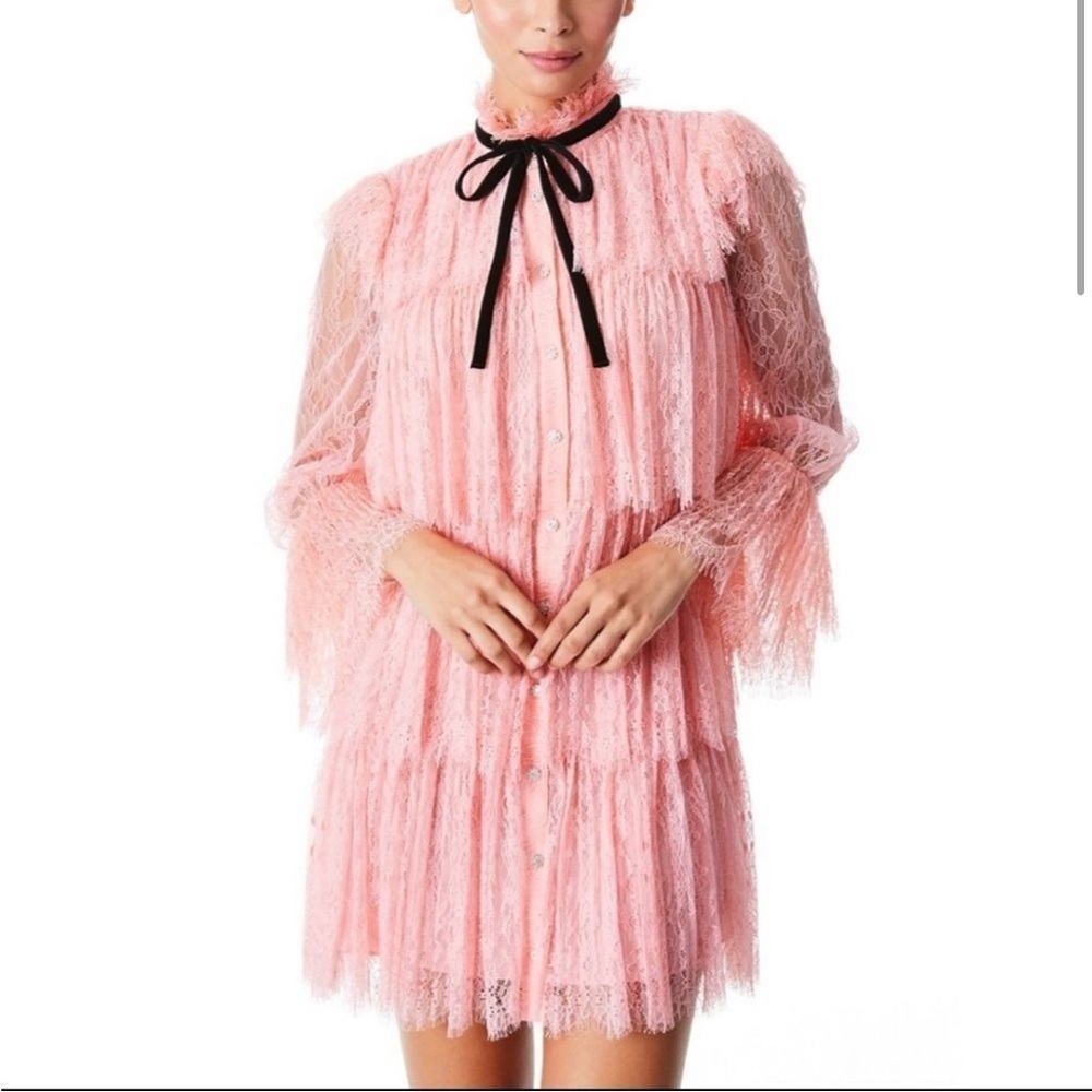 Alice + Olivia Pink Lace Long Sleeve Dress